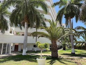 A building with a white facade, palm trees, and a small tree in a pot.