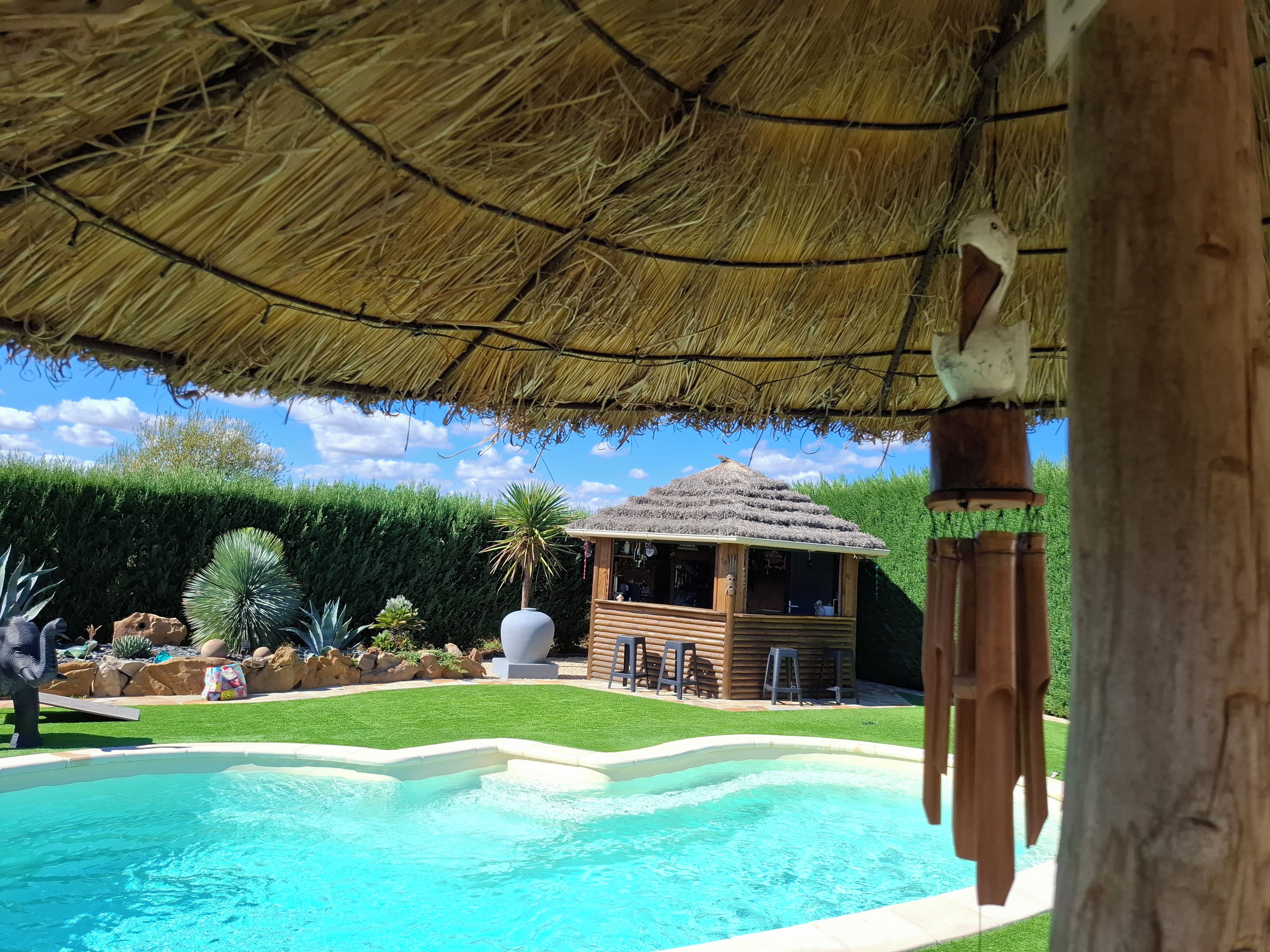 A pool area with a thatched roof structure, a wooden cabin, and a well-maintained lawn.