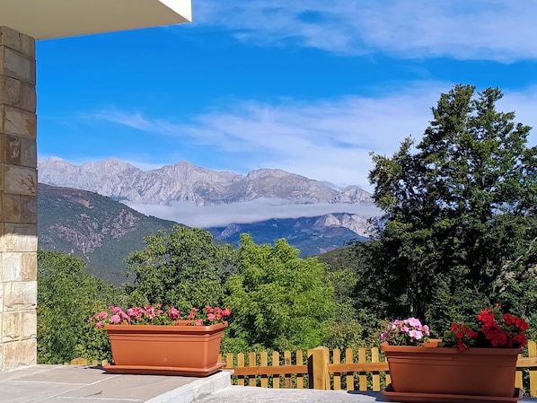 Une terrasse agrĂ©mentĂ©e de jardiniĂšres en terre cuite oĂč sâĂ©panouissent des fleurs roses, une clĂŽture en bois et une vue sur la montagne.