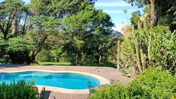 Uma piscina rodeada por vegetação exuberante e árvores.