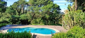 Pool - Cozy apartment in Monteverde downtown, hidden in a sunny garden. (Monteverde)