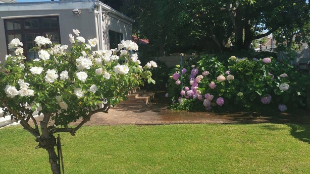 A garden with white and purple flowers, a paved path, and a building in the background. - Room-joy's Place - Willy's Cottage - 2 S (Cape Town)