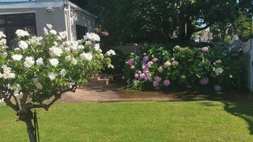 Tuin