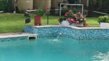 Zimmer, 1 Schlafzimmer, barrierefrei, Raucher | Pool