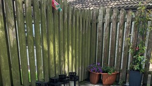 Uma cerca de madeira, lanternas pretas e plantas em vasos numa área de jardim.