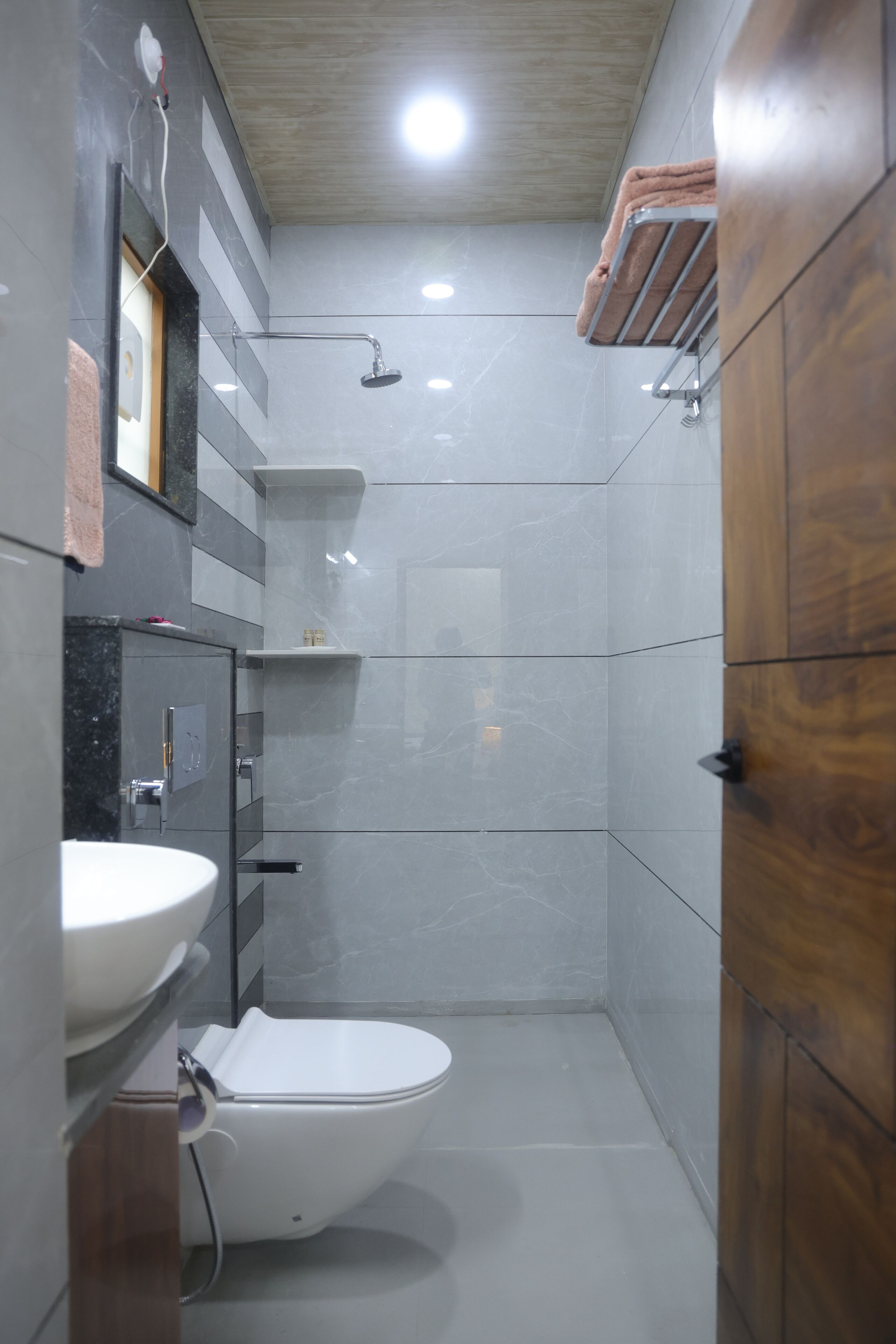 Shower, hair dryer, bidet, towels