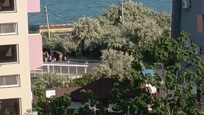 A coastal building with multiple balconies, a view of the sea, and some greenery. - Roma Apartment luxury flat in a beautiful location in Mamaia Beach by the Sea. (Năvodari)