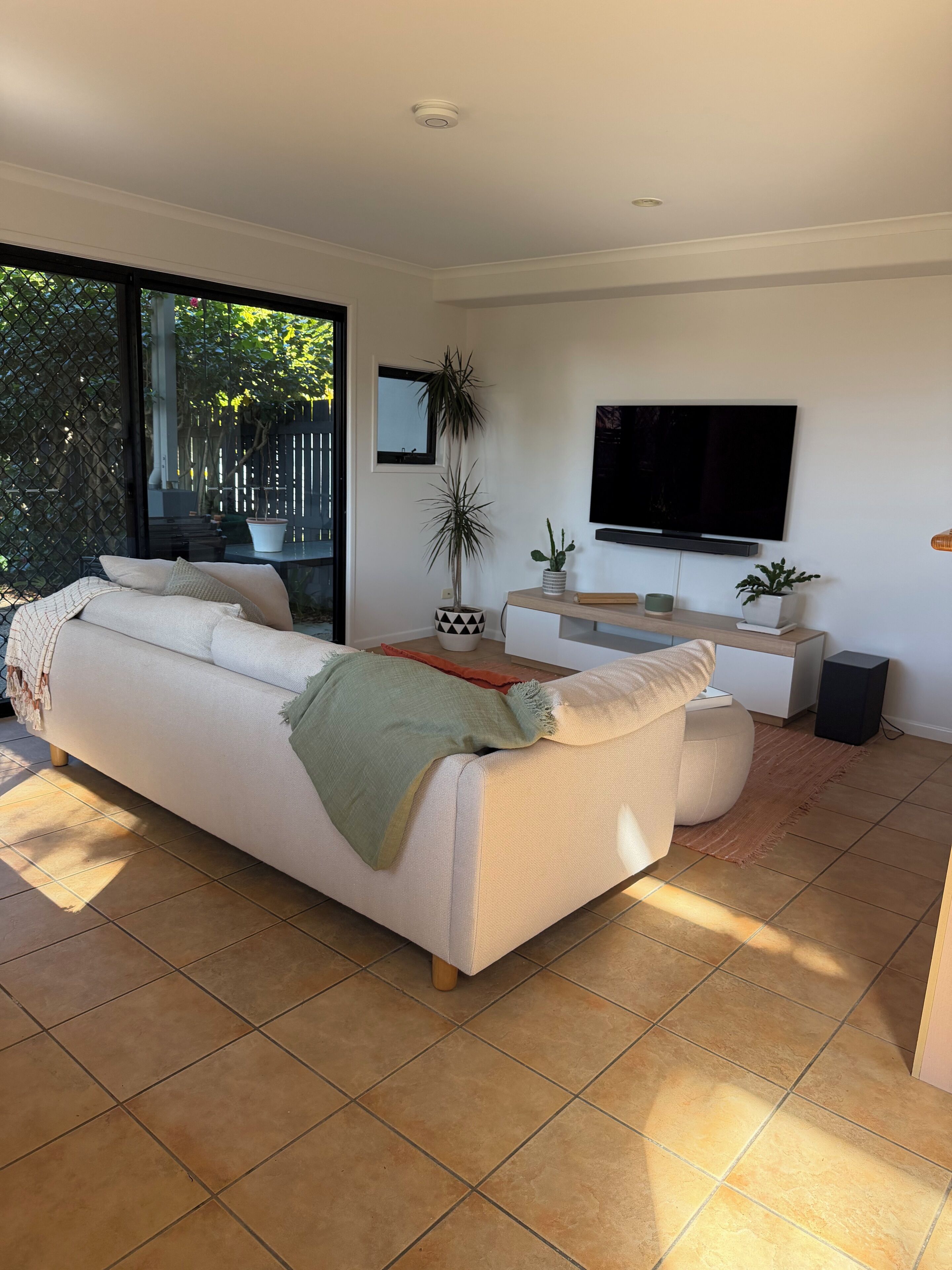 A modern living room with a sofa, a TV, and a potted plant.