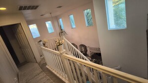 Un escalier avec une rampe blanche, des plantes en pot et une vue sur l’extérieur par les fenêtres.