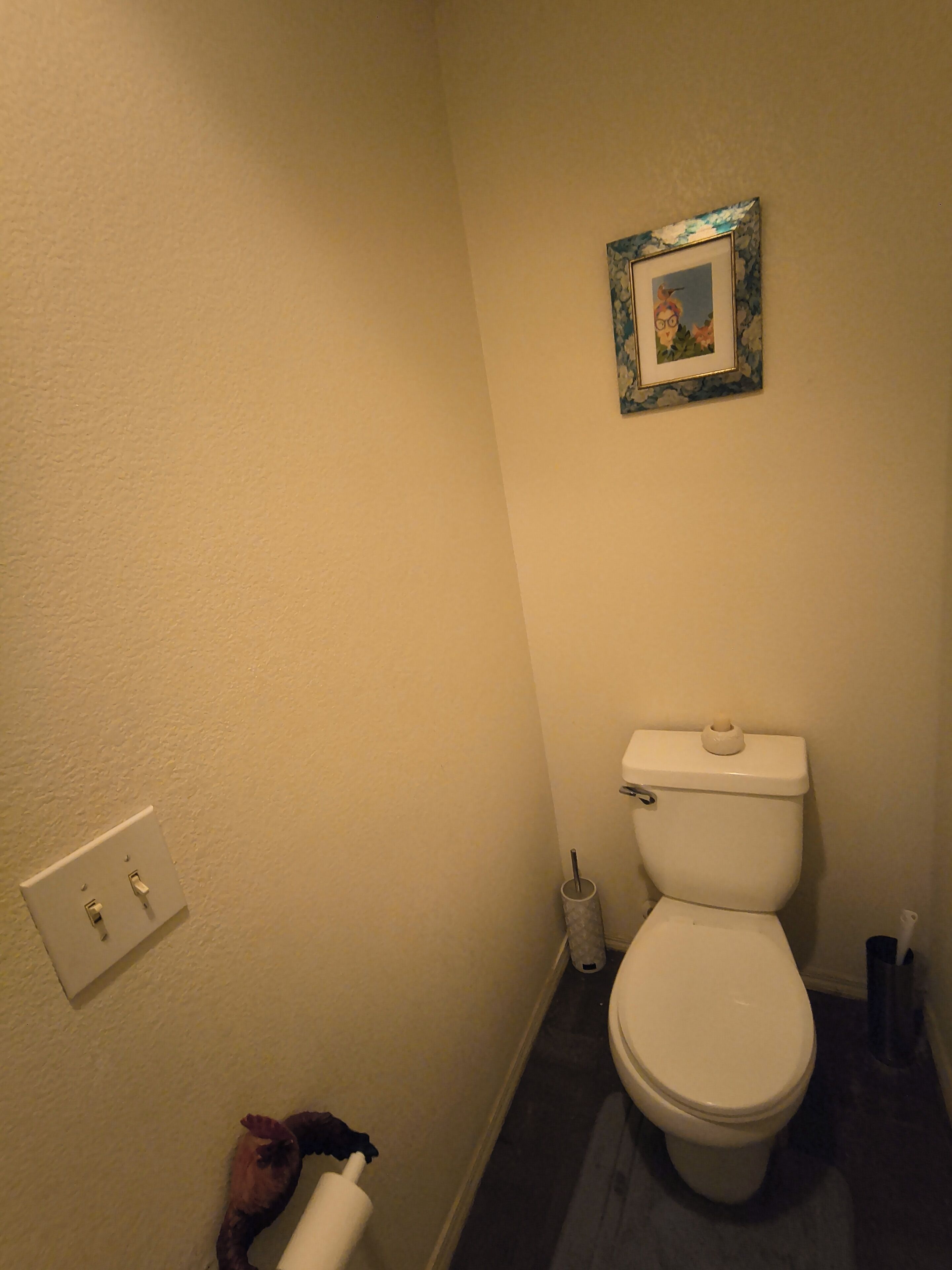 Une petite salle de bain avec des toilettes, un tableau encadré au mur, un rouleau de papier toilette et un objet décoratif posé sur le sol.