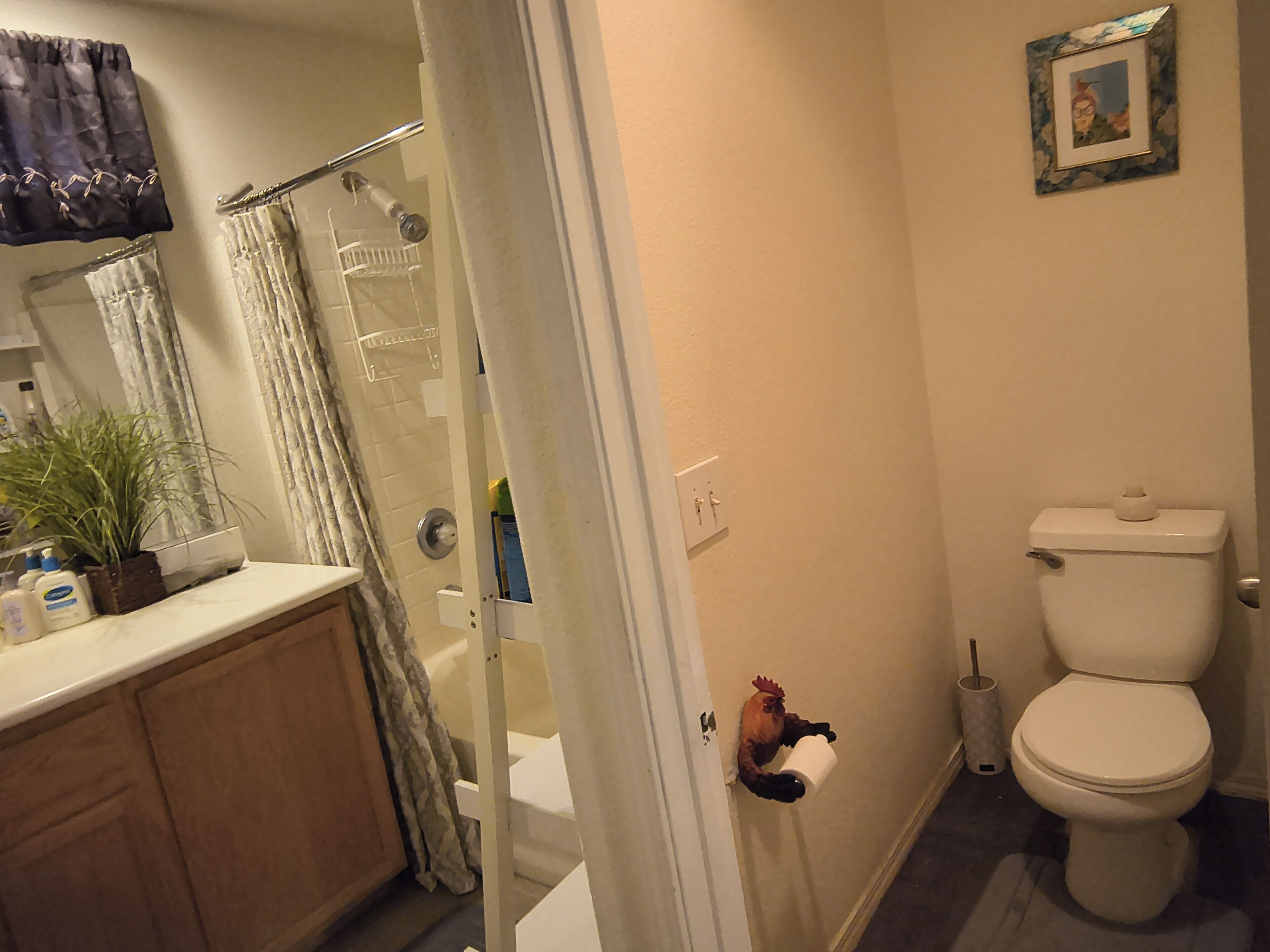 A bathroom with a toilet, a shower, a sink with a mirror, and a towel rack.