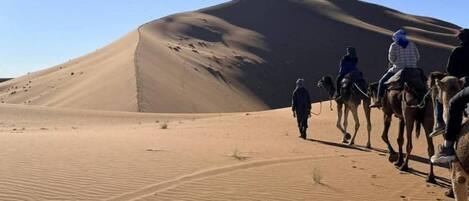 A desert landscape with sand dunes and camels.