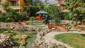 Un jardín con un estanque, puentes de madera y una estatua.