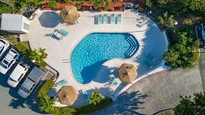 Vista aèria d'una piscina amb gandules i ombrelles, envoltada de vegetació i una zona d'aparcament.