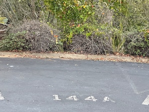A parking lot with a concrete surface and white painted lines.