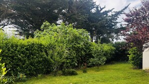Ein gepflegter Garten mit verschiedenen Sträuchern und Bäumen, einer Rasenfläche und einer weißen Wand im Hintergrund.