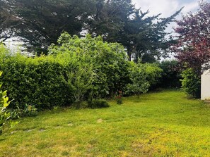 Ein gepflegter Garten mit verschiedenen Sträuchern und Bäumen, einer Rasenfläche und einer weißen Wand im Hintergrund.