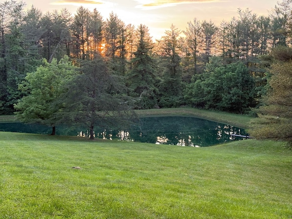 A serene landscape with a pond, trees, and a grassy area. - White Pines Retreat (Jackson)