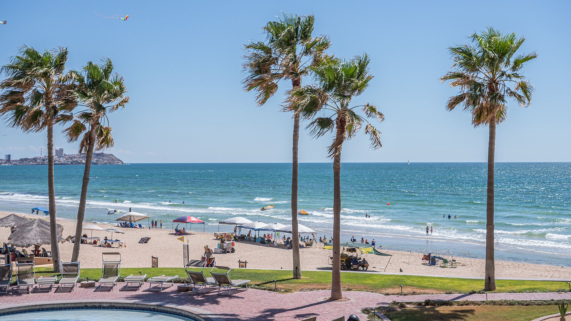A beach with palm trees, a pool, and a cityscape in the background.