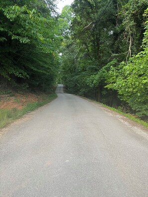 Eine gepflasterte Straße, gesäumt von dichtem Grün, die in einen bewaldeten Bereich führt.