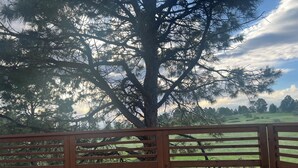 Un pontile in legno con vista su un grande albero e un prato erboso.