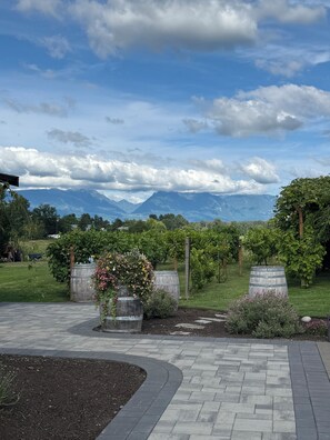A landscaped garden with a paved walkway, flower planters, and a vineyard in the background. - Superb 5 -bedroom Estate in Monroe perfect for family getaways (Monroe)
