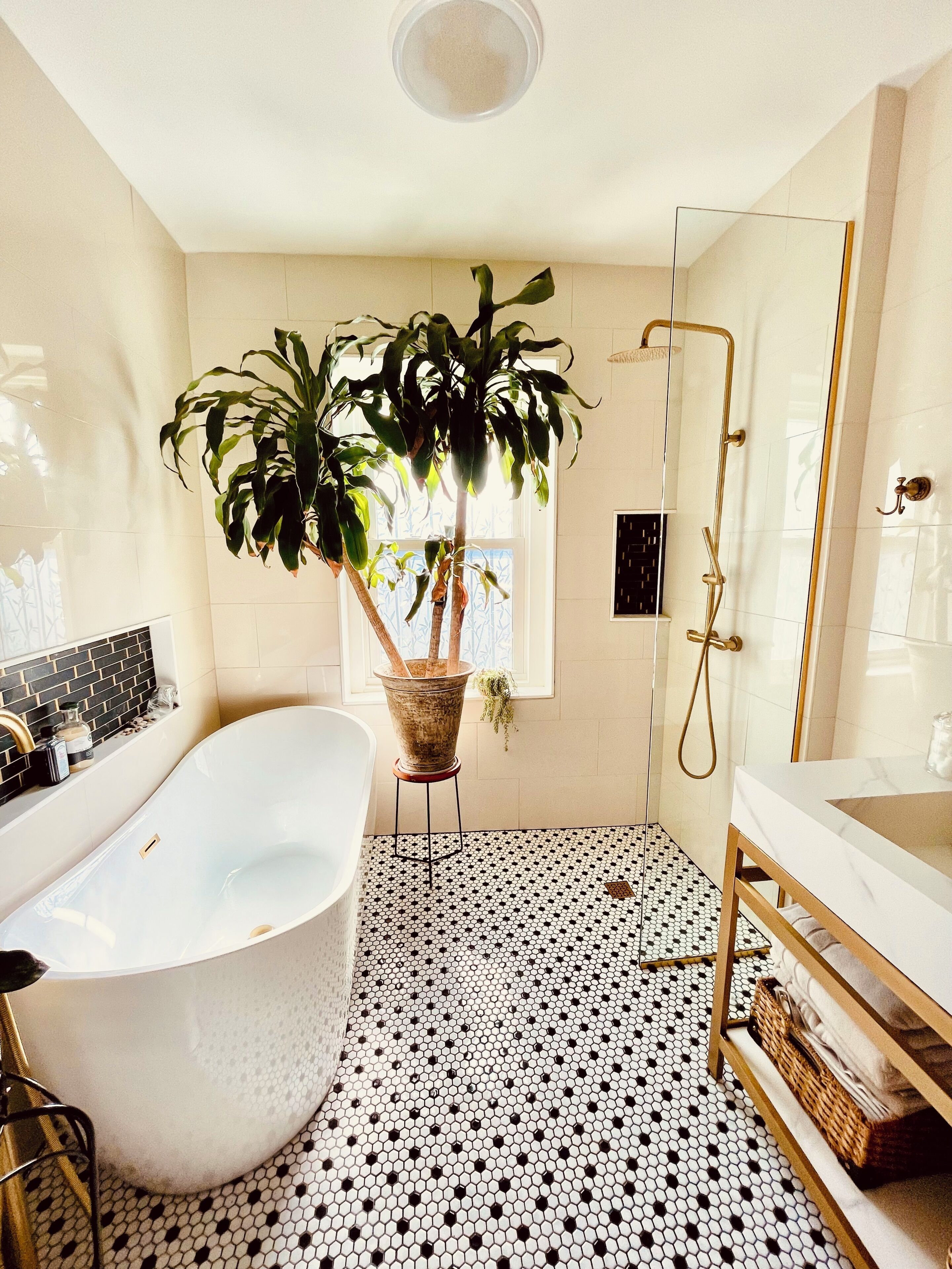 Shower, towels, toilet paper