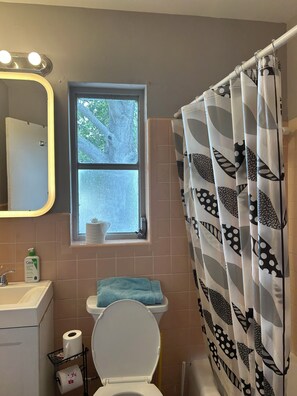 Bathroom - Imagine 4 Bedroom Cottage By Siesta Key (Sarasota)