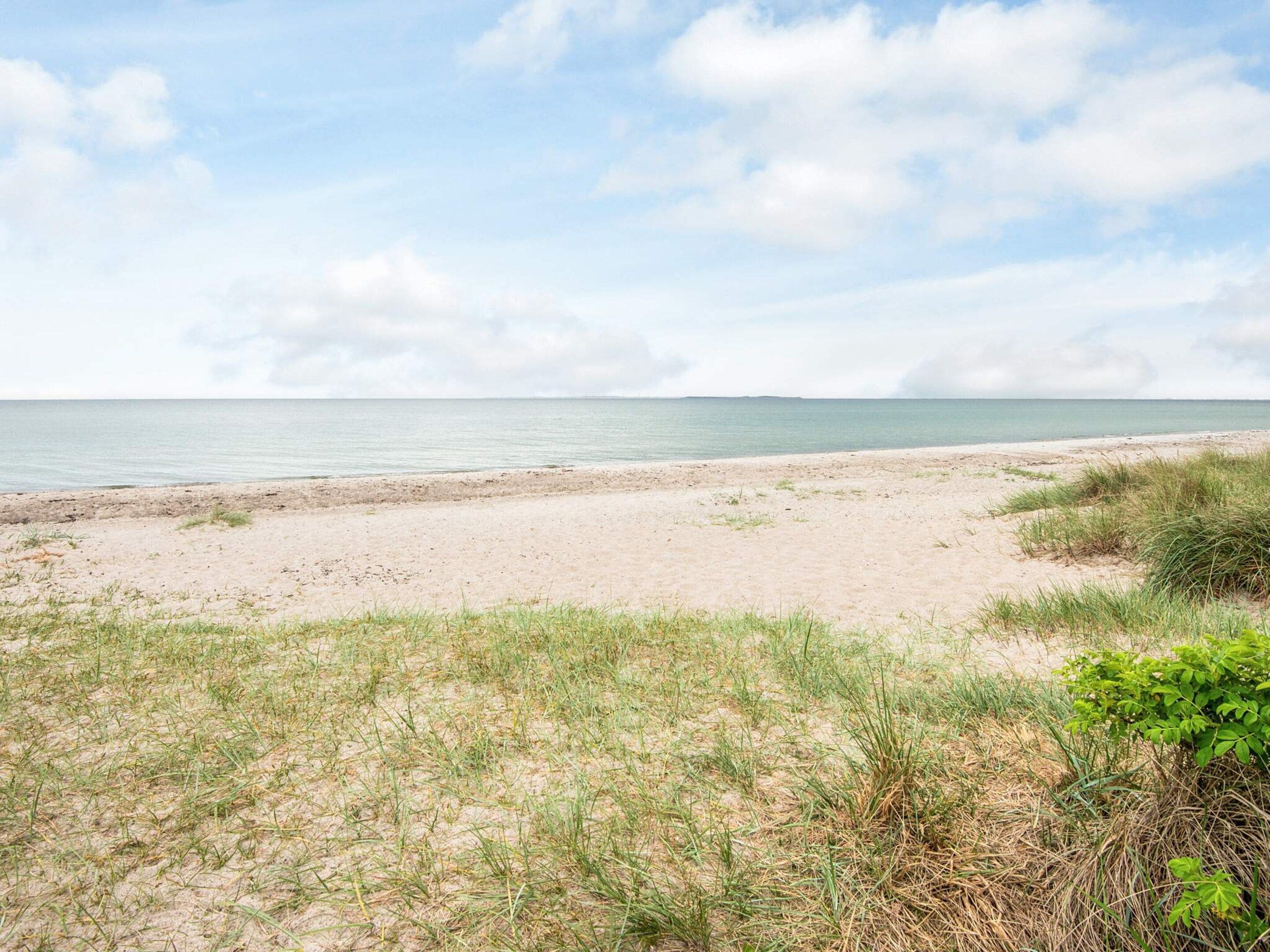 A beach with a sandy shore and grassy dunes.
