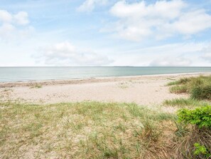 A beach with a sandy shore and grassy dunes. - 6 Person Holiday Home in Odder (Odder)