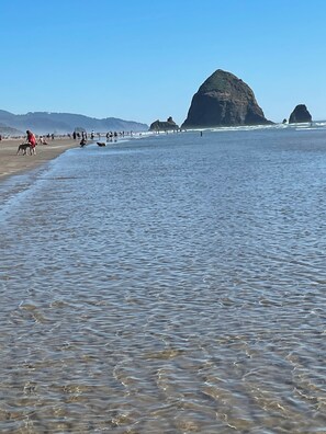 Beach - Charming 1-bdrm Cannon Beach cottage, walkable location and 1.5 blocks to beach! (Cannon Beach)