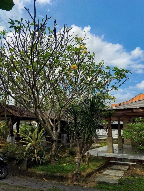 A tree with yellow flowers, a covered structure, and a paved area. - Hotel Paradiso Mataram (Mataram)