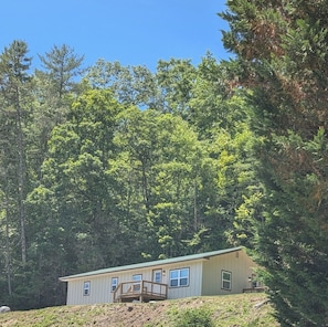 A single-story house with a green roof, surrounded by dense forest.