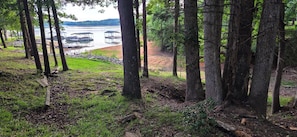 A forested area with a lake and docks. - Sunset Cove - Serene Lake Hartwell Lakefront Escape (Fair Play)