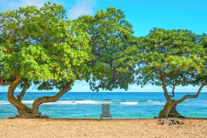 Ein Strand mit zwei großen Bäumen und einem zum Meer zeigenden Stuhl.