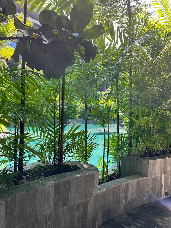 A pool surrounded by lush greenery and stone walls.