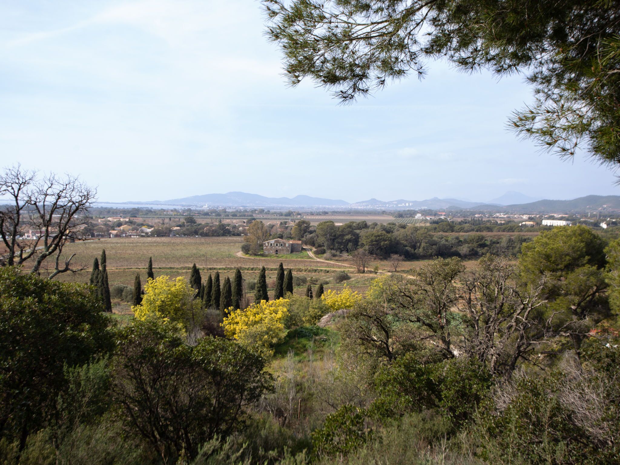 Paisagem rural com campos, árvores e montanhas ao longe.