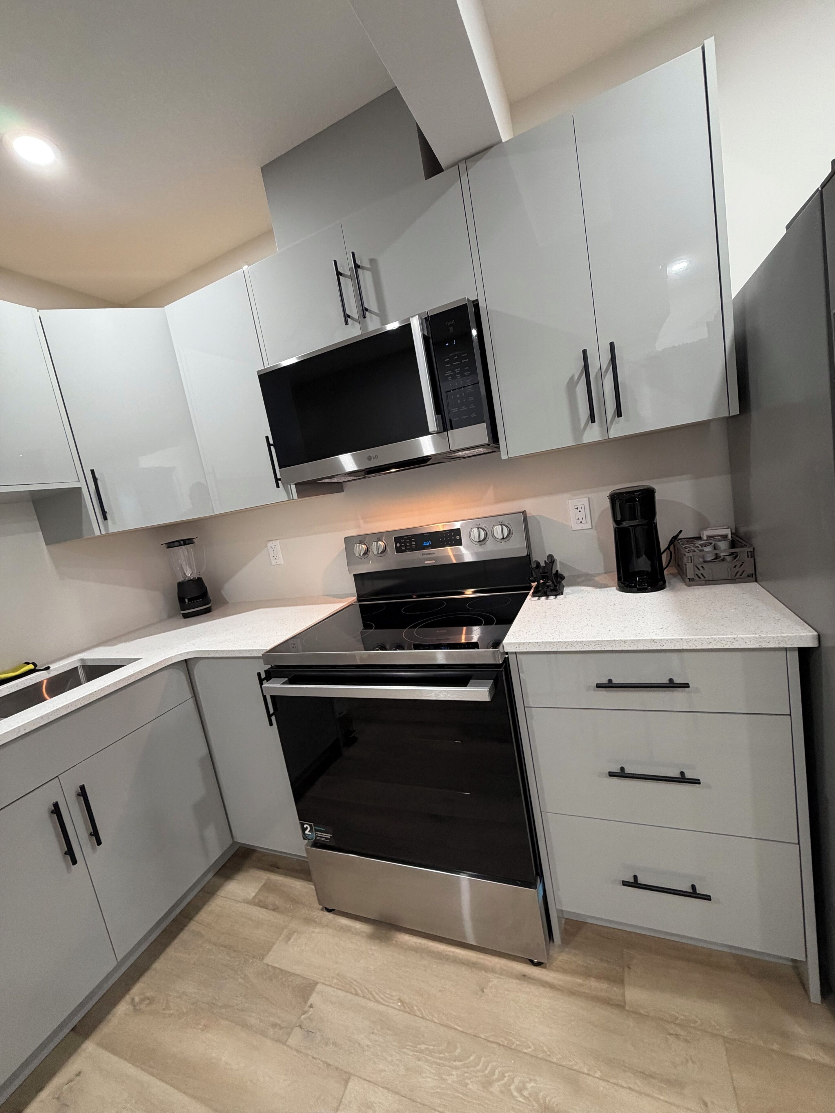 Frigorífico, microondas, horno y placa de cocina
