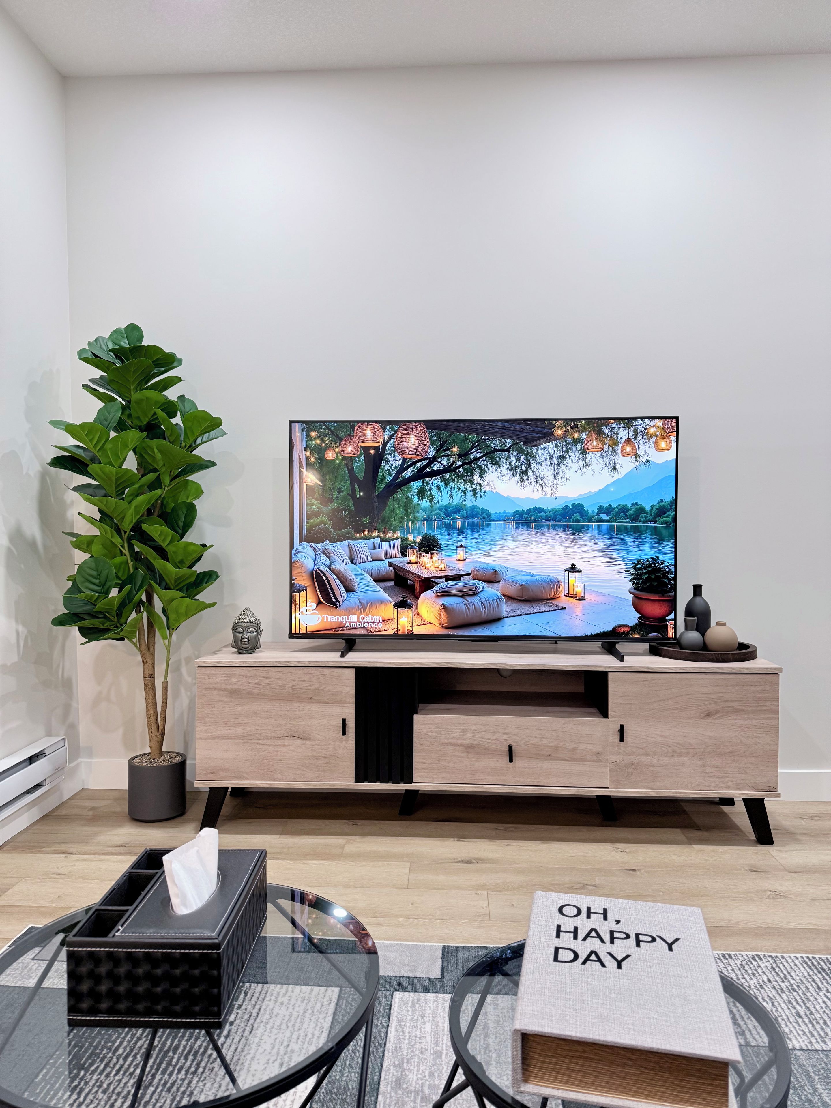 A modern living room with a flat-screen TV, a wooden cabinet, a potted plant, a glass table, and a book with 'OH, HAPPY DAY' on the cover.