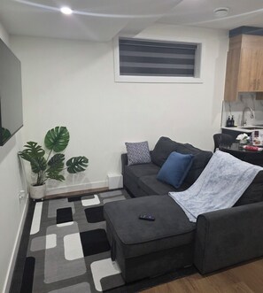 A living room with a grey sofa, a small ottoman, a remote control, a potted plant, and a kitchen area with wooden cabinets. - New Cozy One bed Suite  close to downtown Edmonton.For Leisure and Business Stay (Northwest)