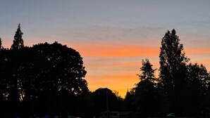 Un atardecer con siluetas de árboles y cielo despejado.