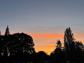 A sunset with silhouettes of trees and a clear sky.