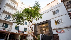 Un hotel con un patio empedrado, un árbol y una entrada porticada.
