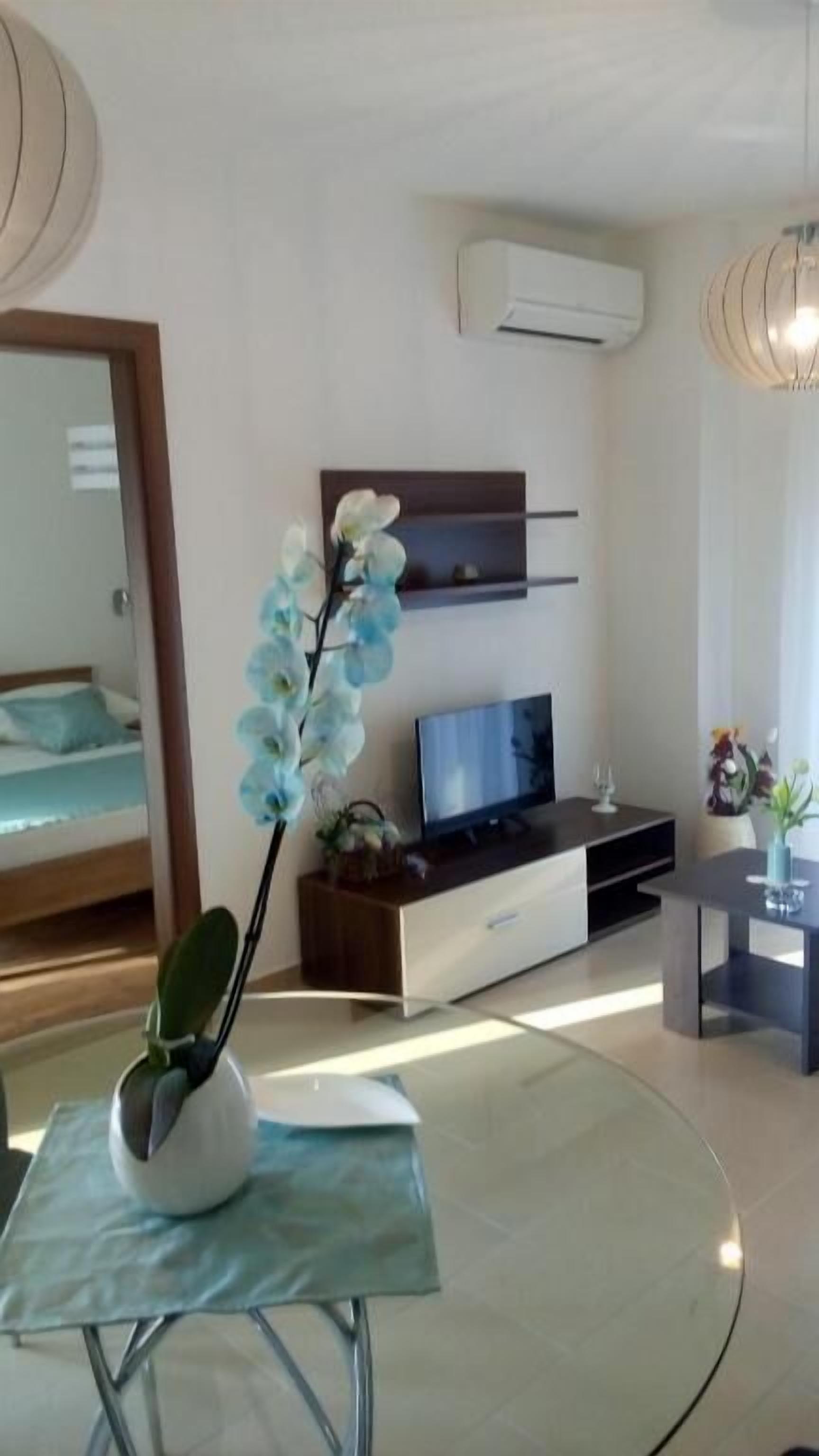 A modern living room with a glass table, a potted orchid, a flat-screen TV, a sofa, and a wooden cabinet.