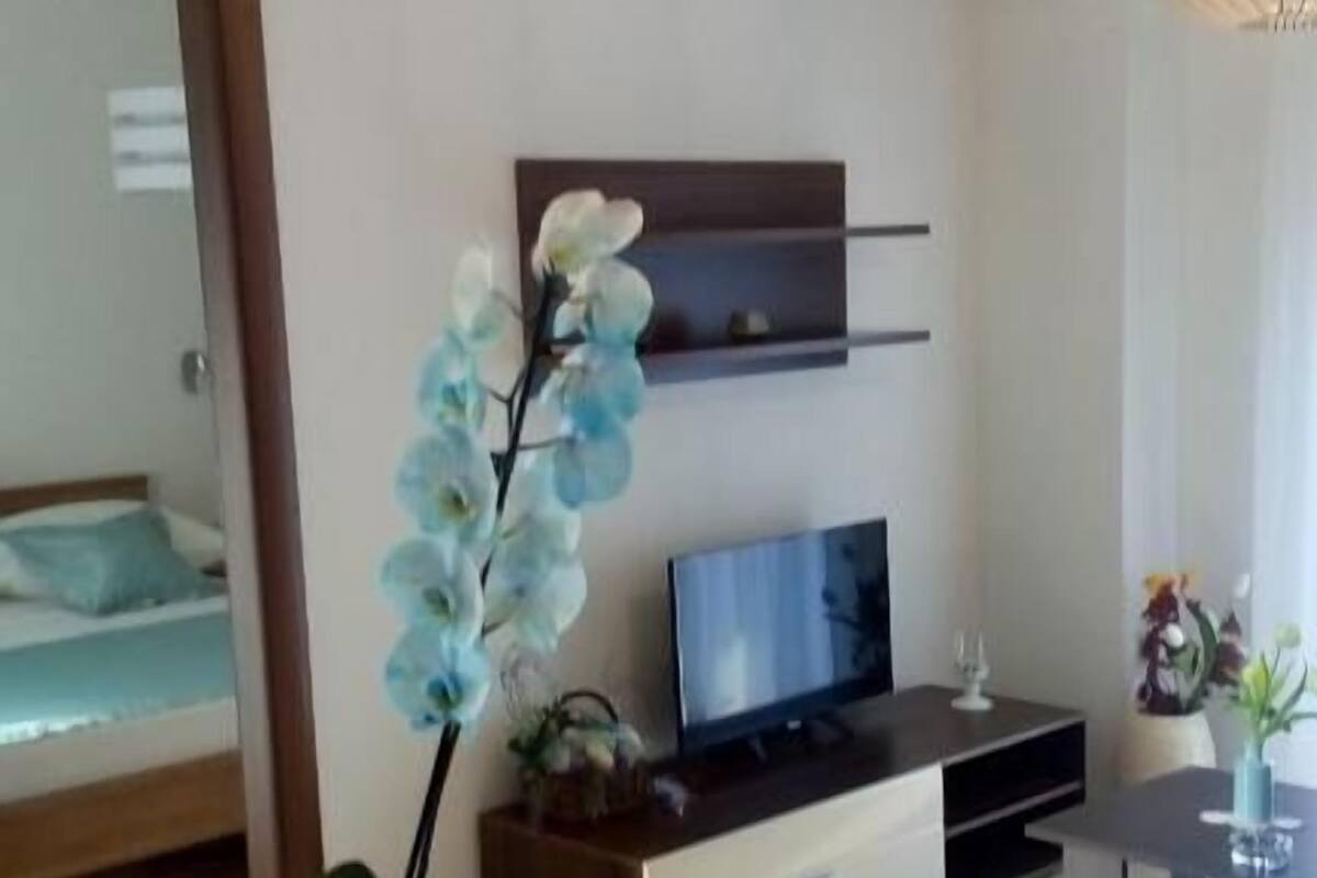 Una sala de estar moderna con una mesa de vidrio, una orquídea en maceta, un televisor de pantalla plana, un sofá y un mueble de madera.