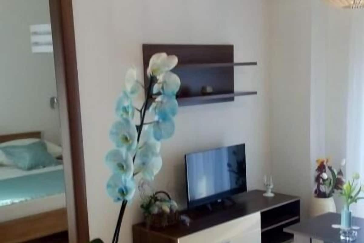 Căn hộ, ban công, quang cảnh sân vườn | Két bảo mật tại phòng, phòng cách âm, bàn ủi/dụng cụ ủi quần áo