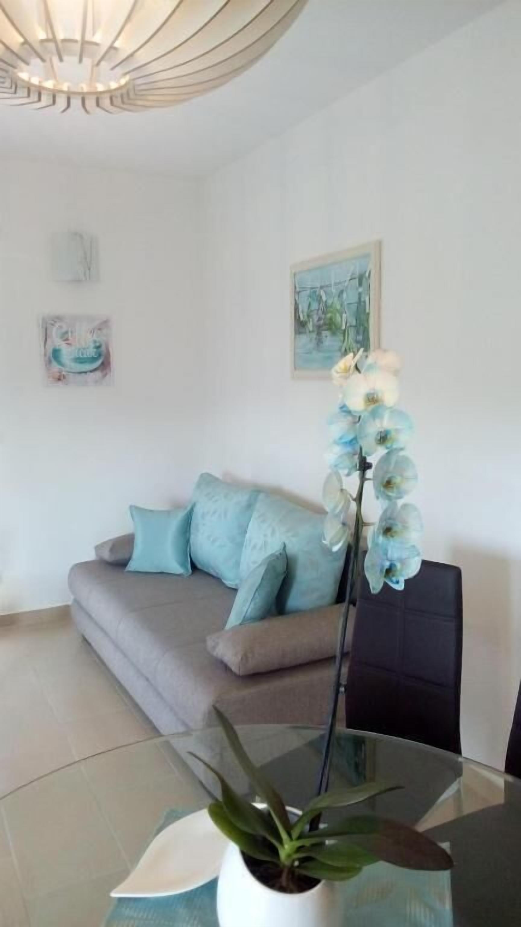 A modern living room with a glass coffee table, a sofa with cushions, a tall plant, and a painting on the wall.