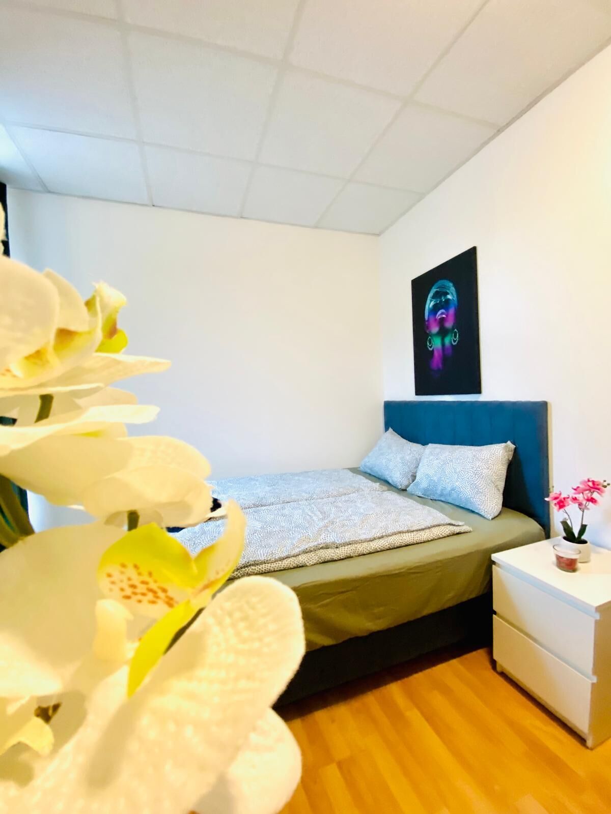 Basic Room | Iron/ironing board