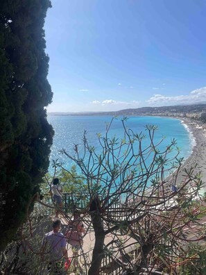 Une vue sur la côte, avec un ciel dégagé, une plage de sable et une zone boisée.