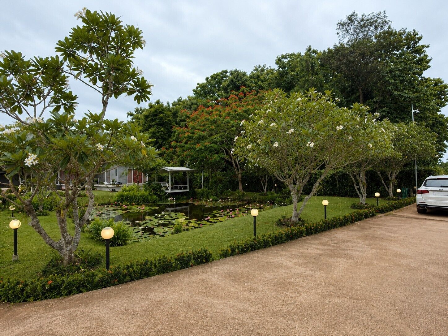 A garden pathway with a pond, trees, and a white car parked on the side.